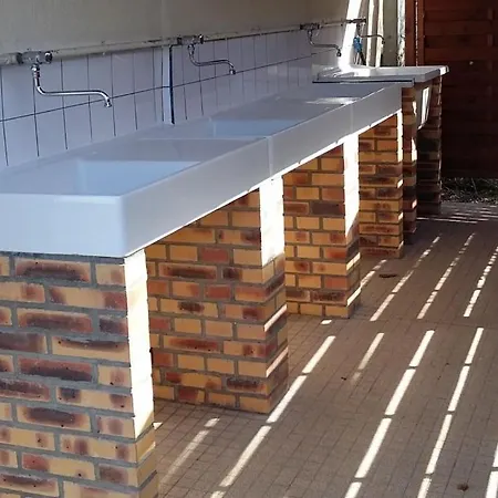 Les Insolites Du Brochet