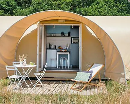 Les Insolites Du Brochet