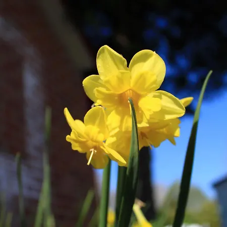 Les Insolites Du Brochet Appart hôtel